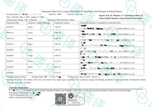將圖片載入圖庫檢視器 速譯中英NAATI認證出生證明翻譯