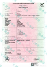 将图片加载到图库查看器,NAATI 认证翻译(英到中) 澳洲外交部DFAT认证译员