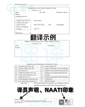 將圖片載入圖庫檢視器 悉尼本地翻译 | NAATI认证 | 可自取